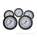 200mm Differential pressure level gauge